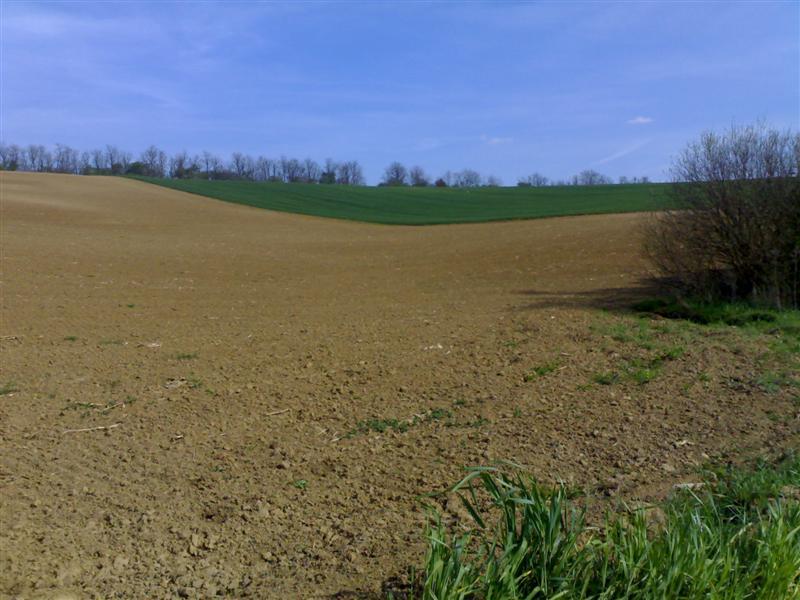 200704091658 .jpg